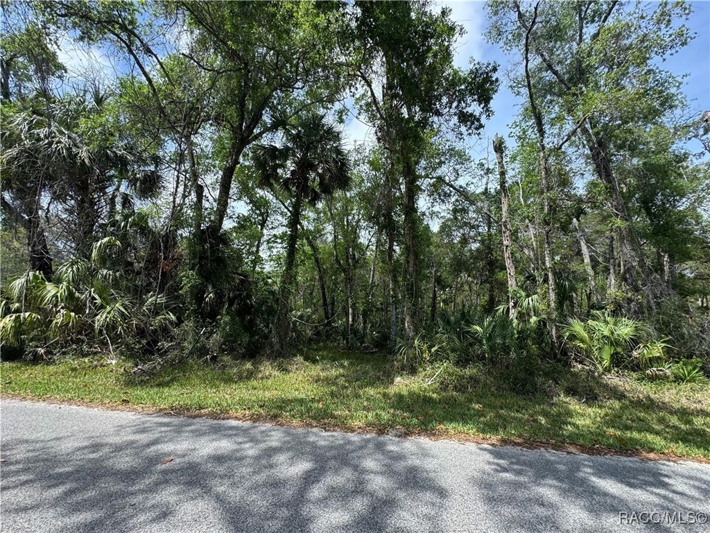 11905 W Eldred Lane #1, Homosassa, Florida image 3