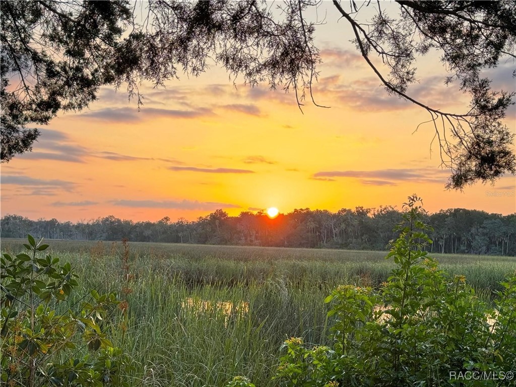 11905 W Eldred Lane #1, Homosassa, Florida image 18