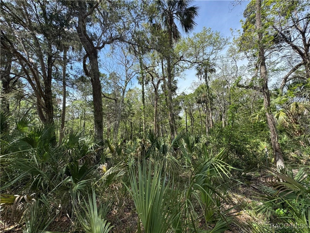 11905 W Eldred Lane #1, Homosassa, Florida image 5