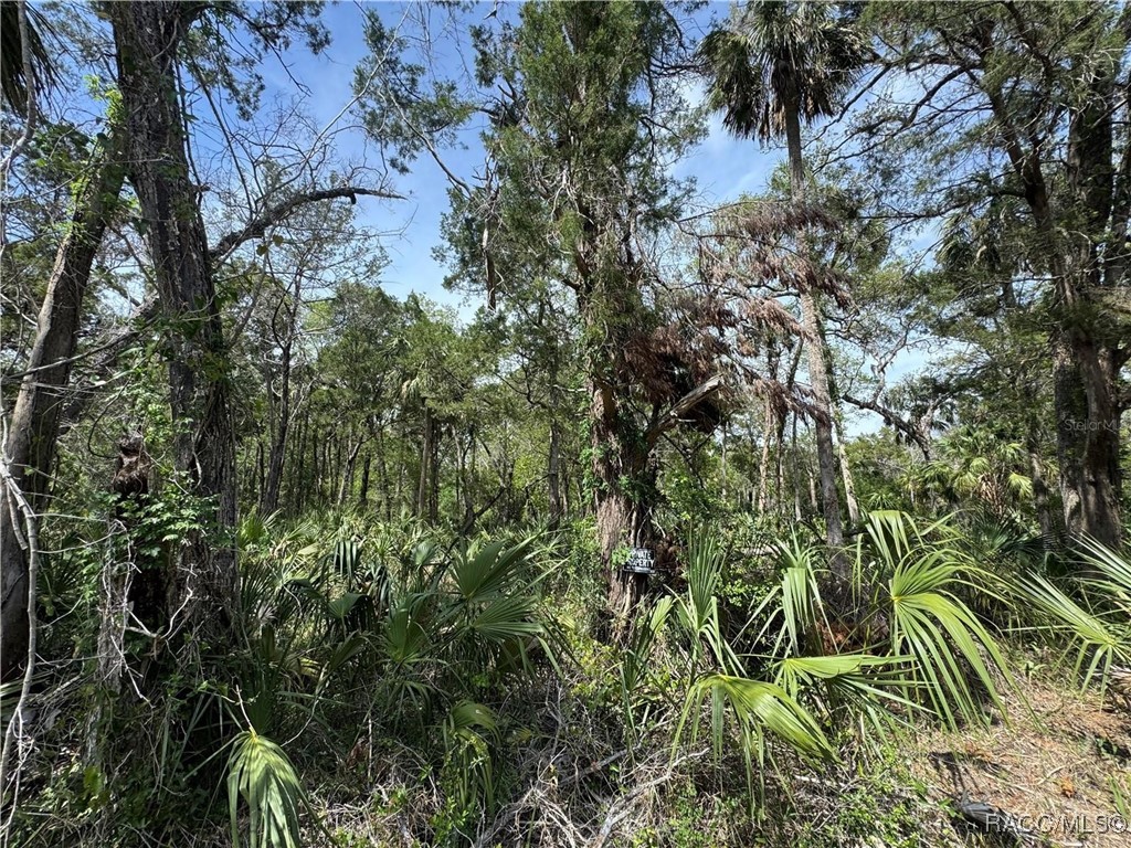 11905 W Eldred Lane #1, Homosassa, Florida image 4