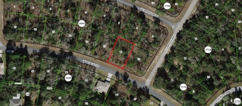 Homes For Sale - 1655 W Mcneal Drive<br/> Citrus Springs, FL 34434