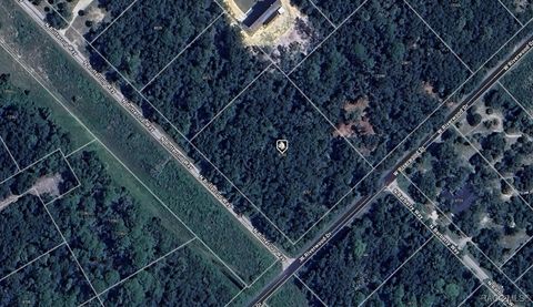 Vacant Land For Sale - 8783 N Buttercup Way<br/> Crystal River, FL 34428