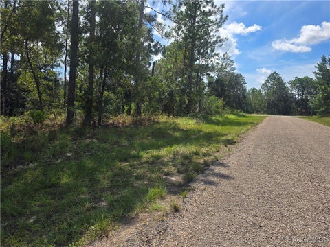 Vacant Land For Sale - 7441 N June Terrace<br/> Dunnellon, FL 34434