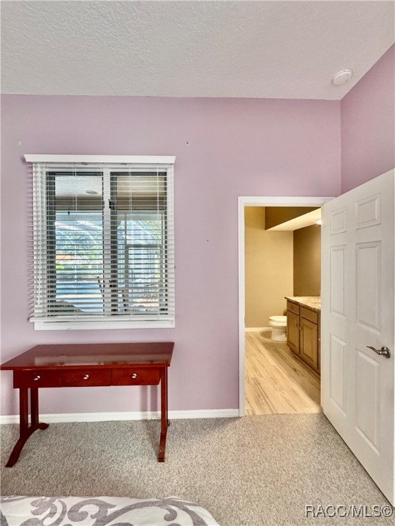 10044 Twelve Oaks Court, Weeki Wachee, Florida image 49
