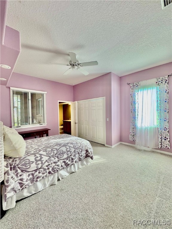 10044 Twelve Oaks Court, Weeki Wachee, Florida image 46