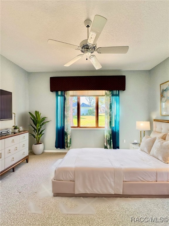 10044 Twelve Oaks Court, Weeki Wachee, Florida image 41