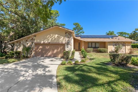 16 Chinkapin Circle Homosassa FL 34446