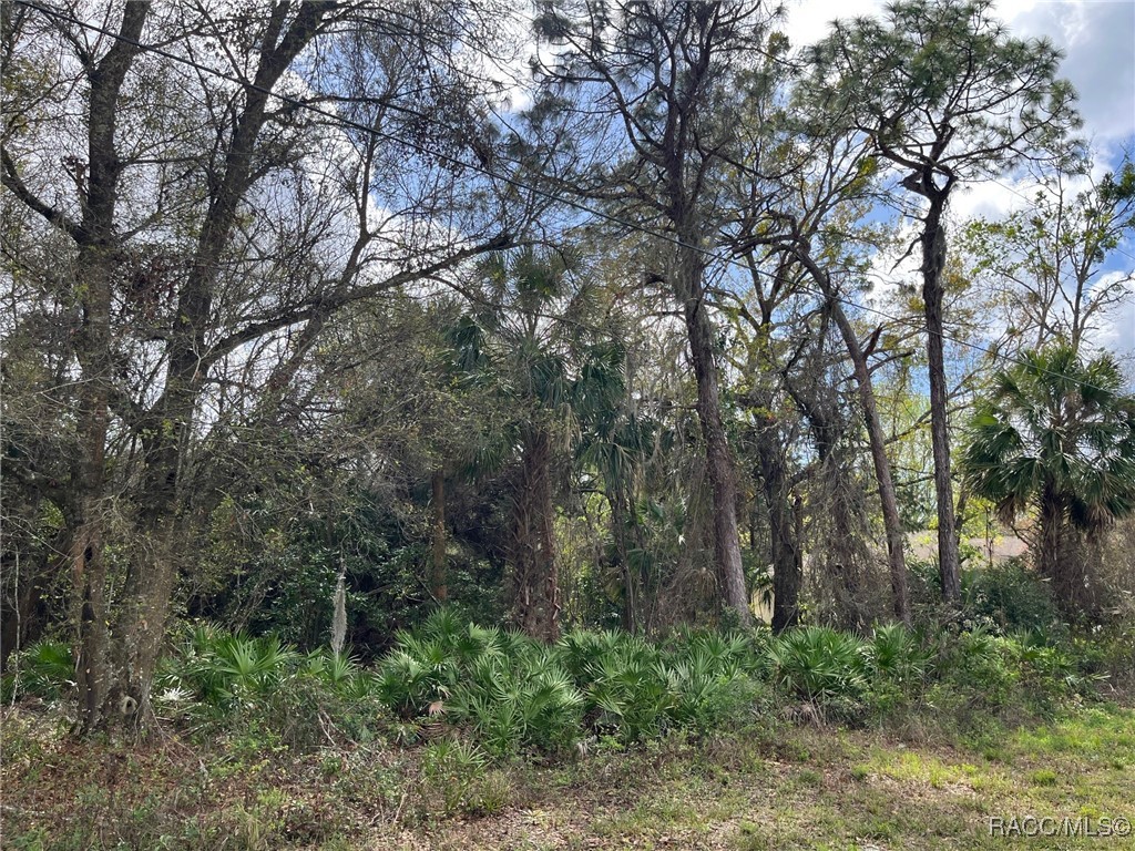 7890 W Briarpatch Street, Homosassa, Florida image 4
