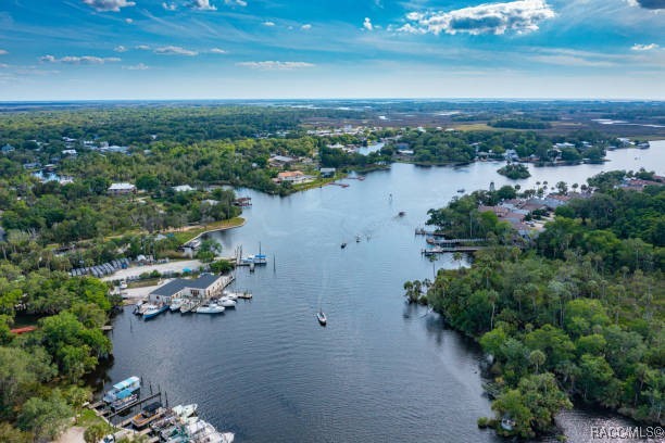 7890 W Briarpatch Street, Homosassa, Florida image 21