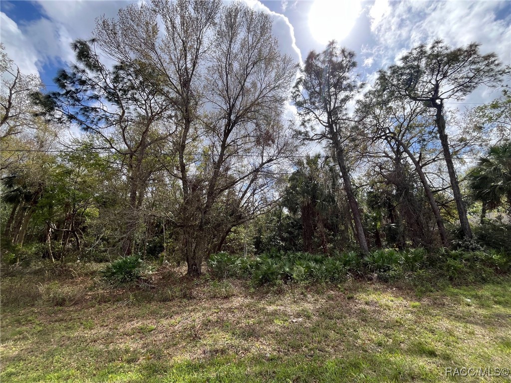 7890 W Briarpatch Street, Homosassa, Florida image 1