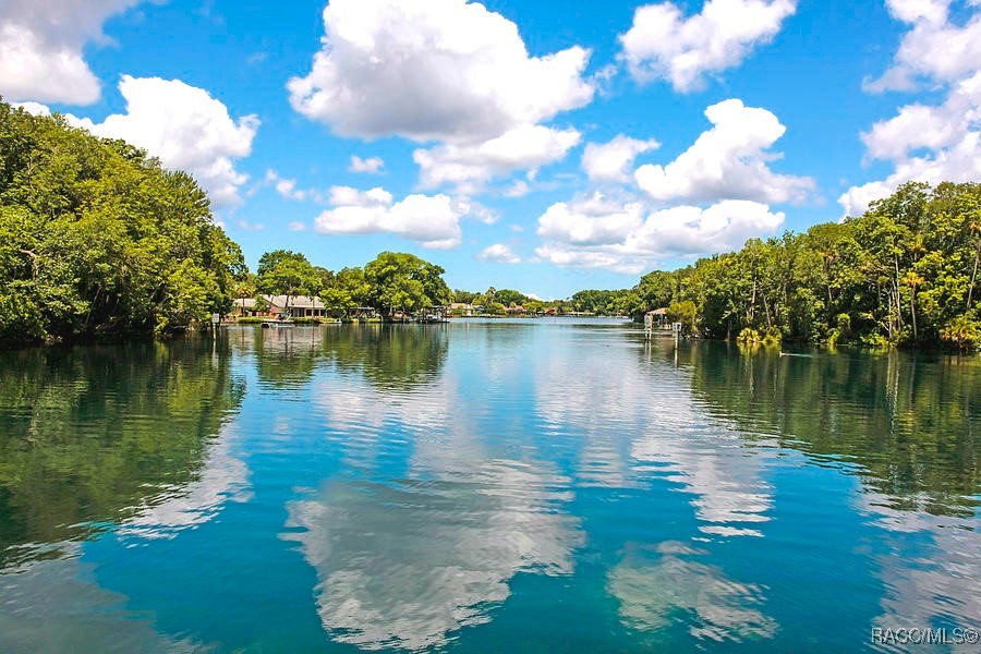 7890 W Briarpatch Street, Homosassa, Florida image 20
