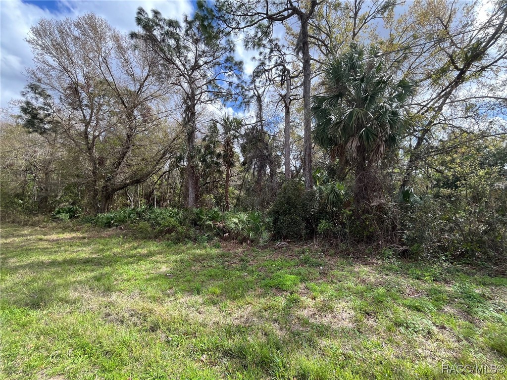 7890 W Briarpatch Street, Homosassa, Florida image 3