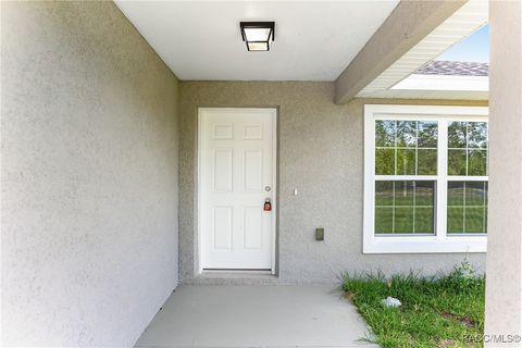 A home in Dunnellon