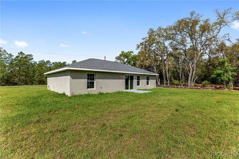 A home in Dunnellon