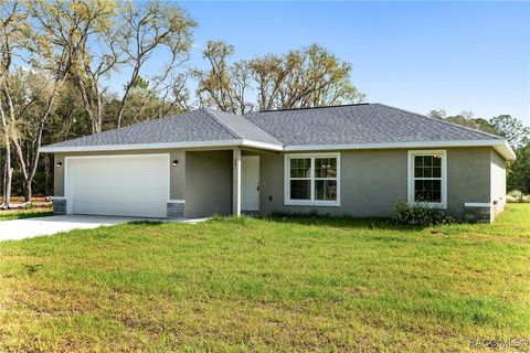 A home in Dunnellon