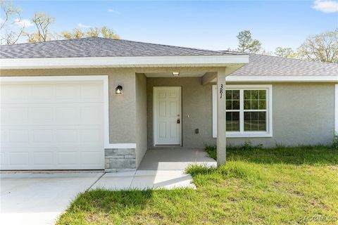 A home in Dunnellon