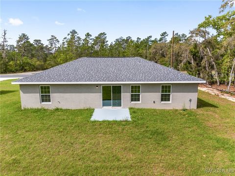 A home in Dunnellon