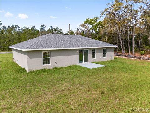 A home in Dunnellon