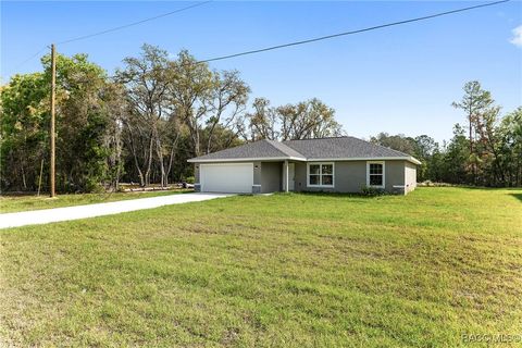 A home in Dunnellon