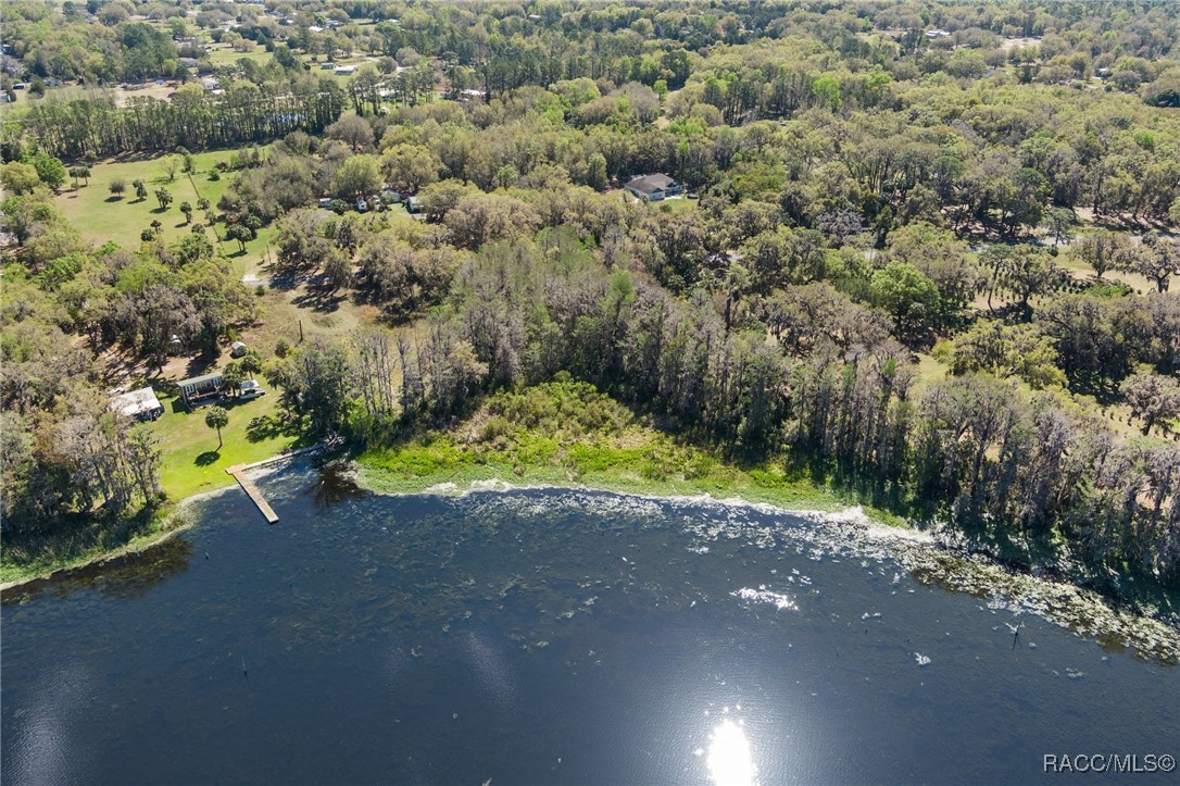 11194 N Citrus Avenue, Crystal River, Florida image 12