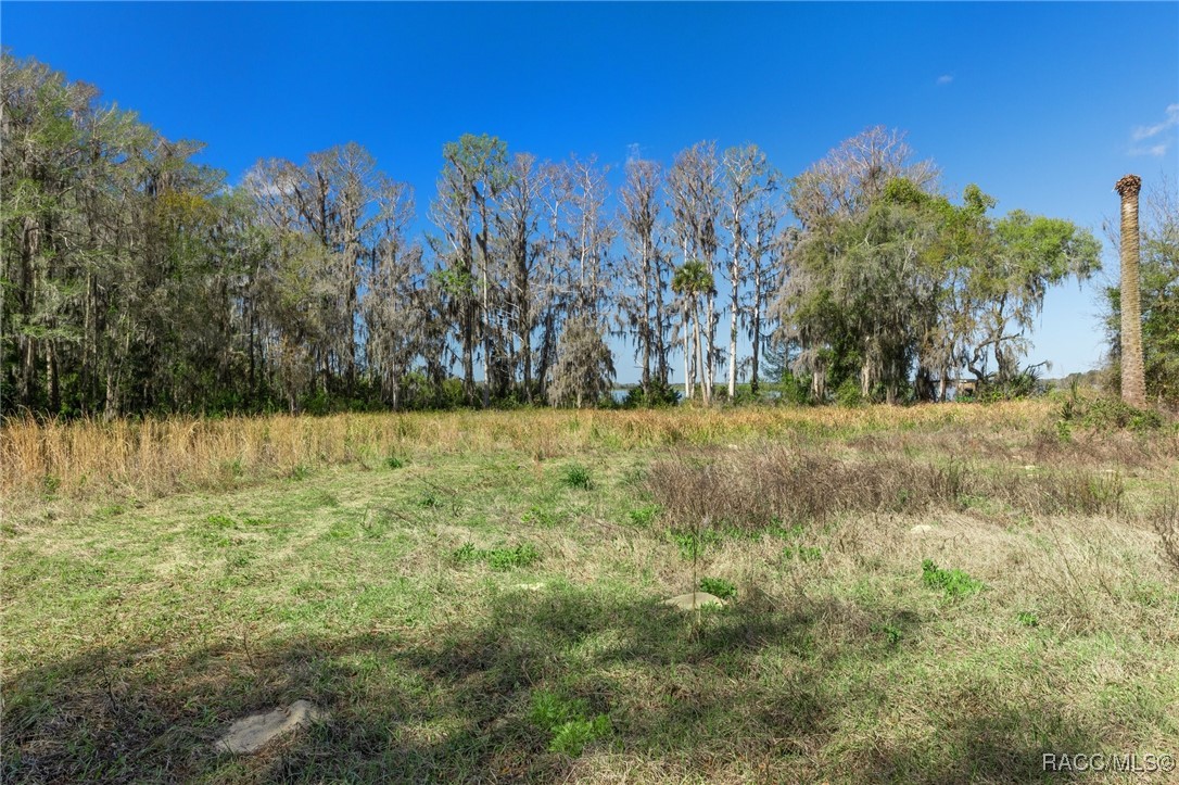 11194 N Citrus Avenue, Crystal River, Florida image 18