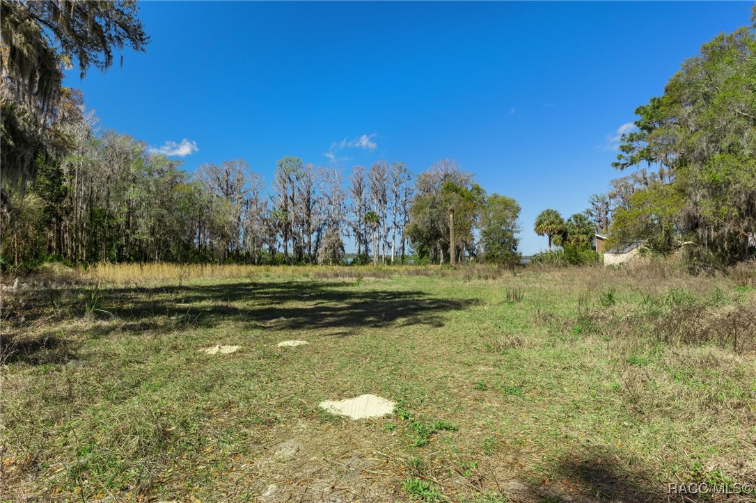 11194 N Citrus Avenue, Crystal River, Florida image 16