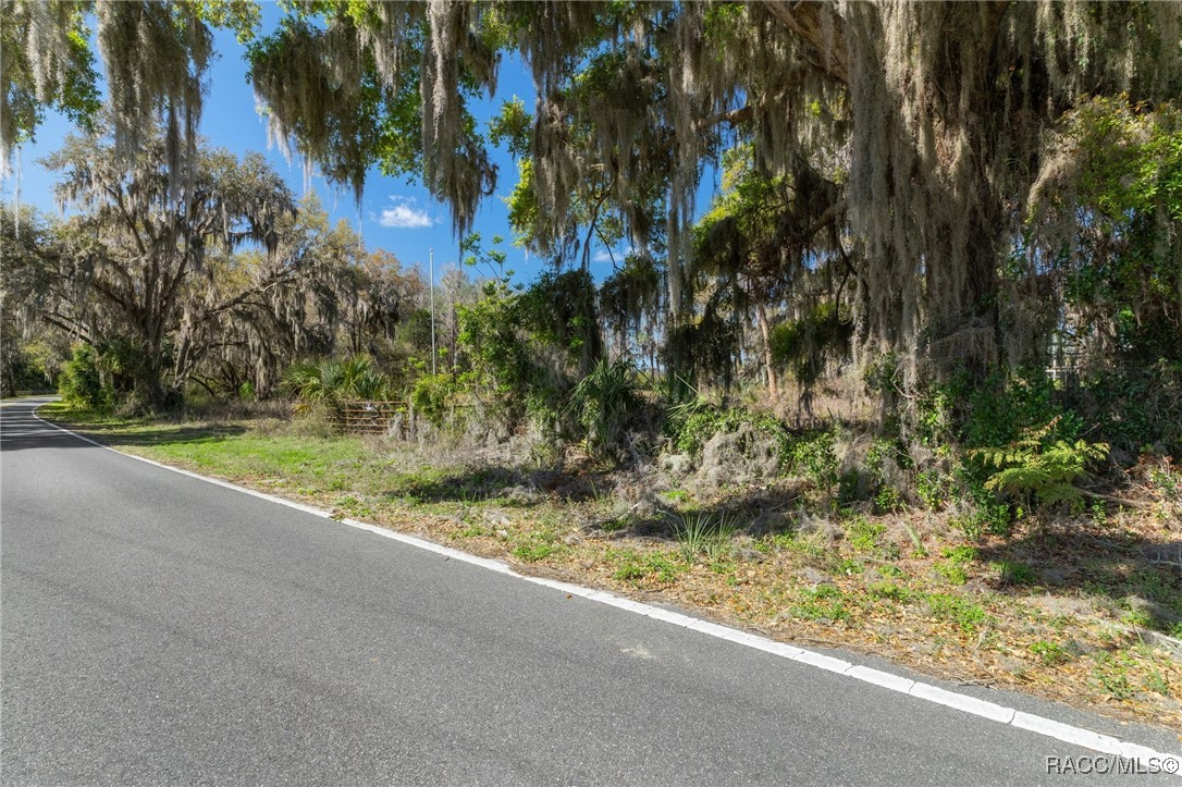 11194 N Citrus Avenue, Crystal River, Florida image 15