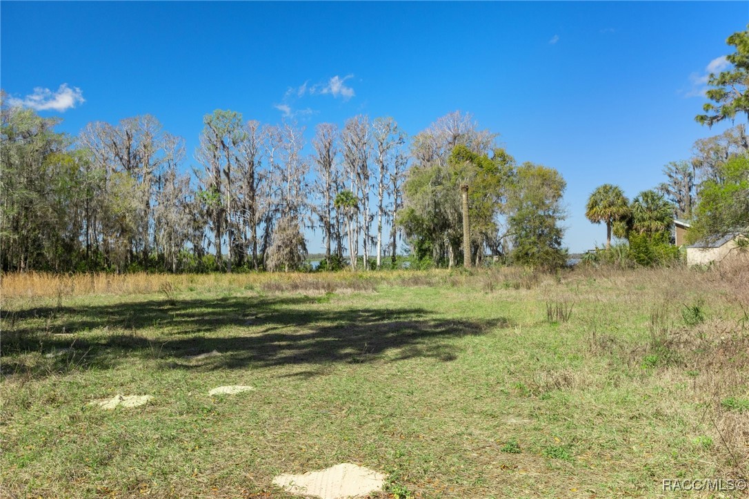 11194 N Citrus Avenue, Crystal River, Florida image 17