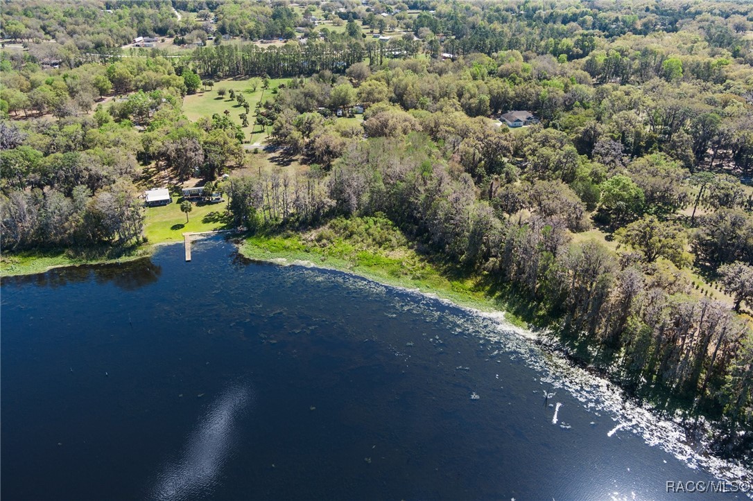 11194 N Citrus Avenue, Crystal River, Florida image 10