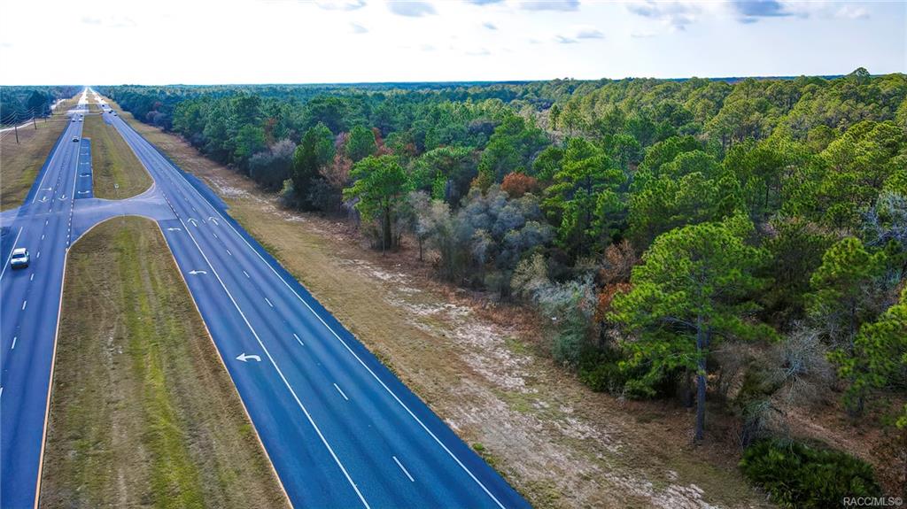 Commercial Way, Brooksville, Florida image 10