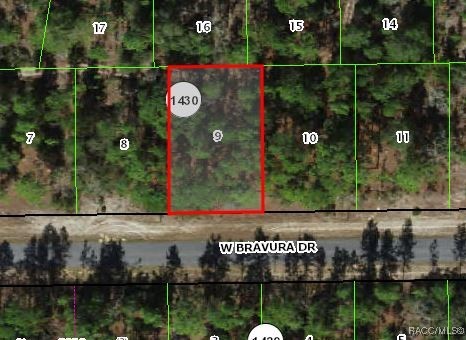 2815 W Bravura Drive, Citrus Springs, New York image 6