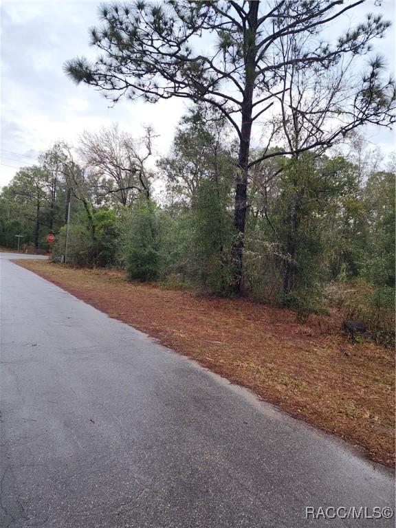 7510 W Dunnellon Road, Dunnellon, Florida image 6