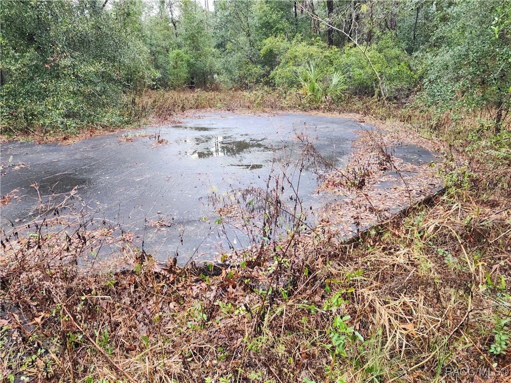 7510 W Dunnellon Road, Dunnellon, Florida image 1
