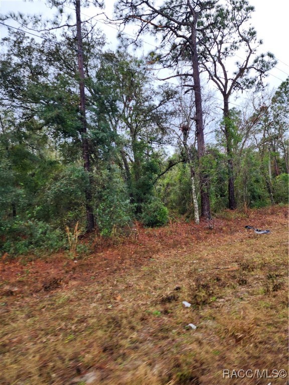 7510 W Dunnellon Road, Dunnellon, Florida image 9