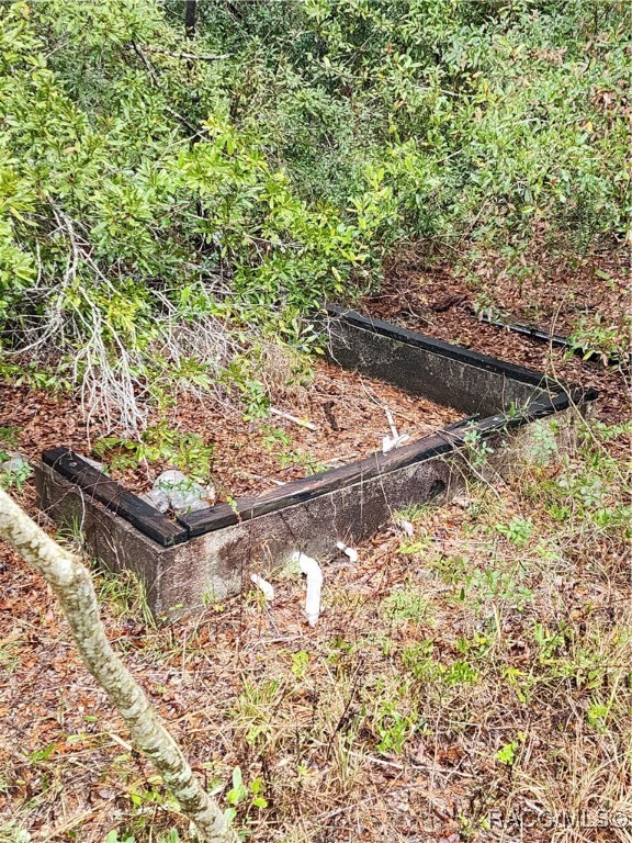 7510 W Dunnellon Road, Dunnellon, Florida image 7