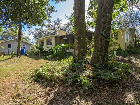 A home in Hernando