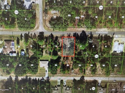 Vacant Land For Sale - 2256 W Galaxy Lane<br/> Citrus Springs, FL 34434