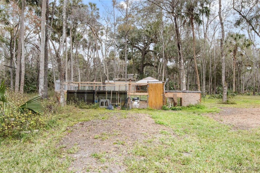 13125 E Shawnee Trail, Inverness, Florida image 9