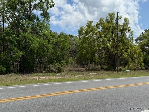 Vacant Land For Sale - 8655 S Florida Avenue<br/> Floral City, FL 34436