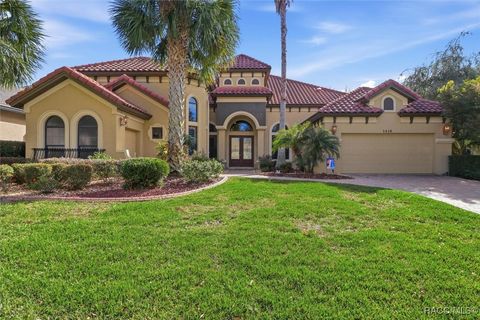 Homes For Sale - 1416 N Ridge Meadow Path<br/> Hernando, FL 34442