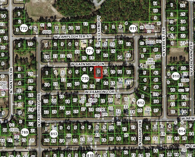 1556 W Gainsboro Lane, Citrus Springs, Florida image 3