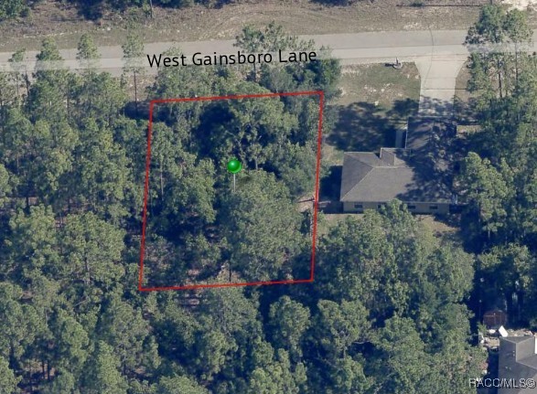1556 W Gainsboro Lane, Citrus Springs, Florida image 4