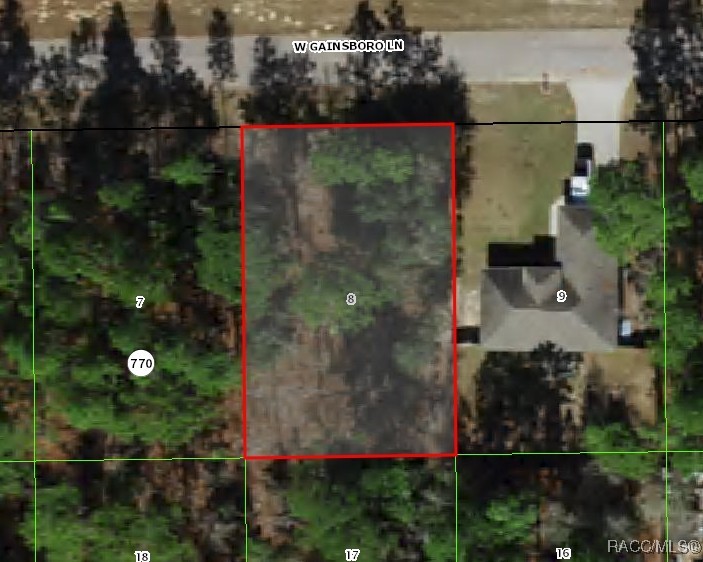 1556 W Gainsboro Lane, Citrus Springs, Florida image 1