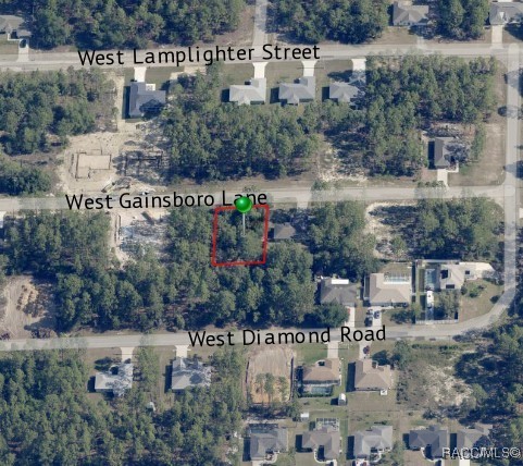 1556 W Gainsboro Lane, Citrus Springs, Florida image 5