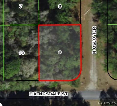 Vacant Land For Sale - 9060 N Oslo Terrace<br/> Citrus Springs, FL 34434