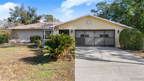 A home in Citrus Springs