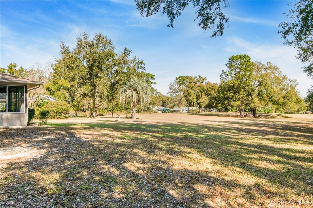 8857 N Limbo Circle, Citrus Springs, Florida image 4