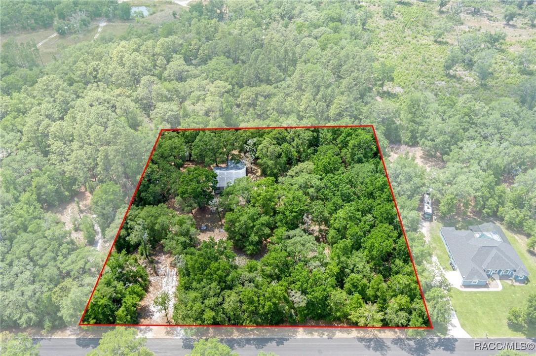 10484 N Burgundy Point, Dunnellon, New York image 41