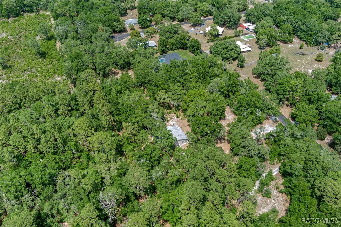 10484 N Burgundy Point, Dunnellon, New York image 44