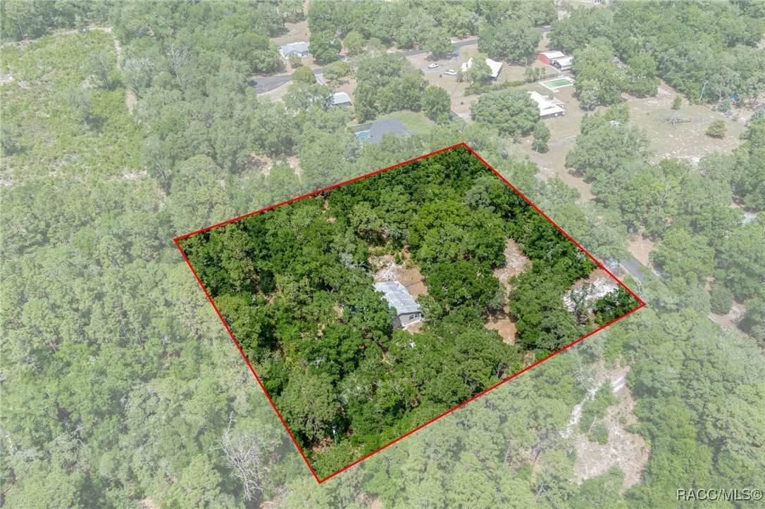 10484 N Burgundy Point, Dunnellon, New York image 43